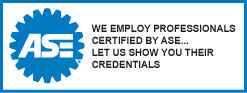 ASE-we employ